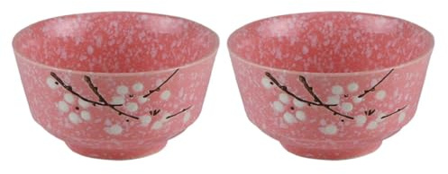 HOMOBABE Set 2 Ciotole in Rosa, Scodella Superficie Liscia e Facile da Pulire, per Insalate e Noodle, Design e Funzionale