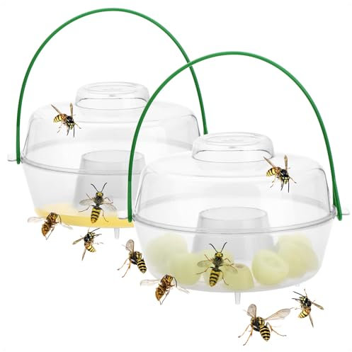 com-four® 2X Piège à Insectes en Plastique - Piège Vivant Protège la Nature à Suspendre - Attrape-Insectes avec Couvercle Amovible - Lutte Contre Les Insectes sans cruauté - Insectifuge
