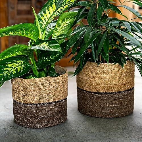 DARO DEKO Seegras Korb rund dreifarbig Ø 31 x 29 mit Einsatz Blumentopf geflochten Aufbewahrungskorb Über-Topf Blumenkorb