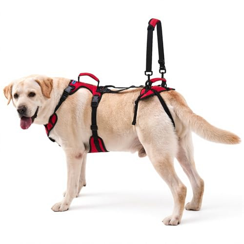 Lafoty Imbracatura di Sollevamento per Cani di Taglia Grande, Imbracatura di Supporto Completo per Scale e Debolezza delle Zampe Posteriori, Aiuto alla Camminata per Cani Anziani, Rossa, L