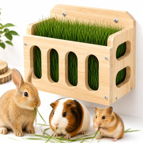 Xygobla Wooden Rabbit Hay Feeder Rack