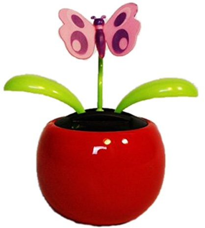 HAAC Solar Wackelblume Blume Motiv Schmetterling