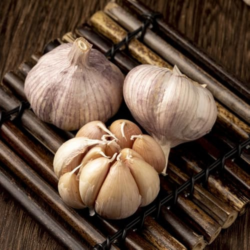 ajo para semillas - variedades antiguas, jardín Comprar interior, silvestres. 30pcs
