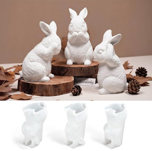 3 stampi in silicone per colata di Pasqua, stampi in silicone per Pasqua, coniglio, 3D in silicone per Pasqua, coniglio, coniglio pasquale, stampi in silicone per gesso, candele, regali di Pasqua