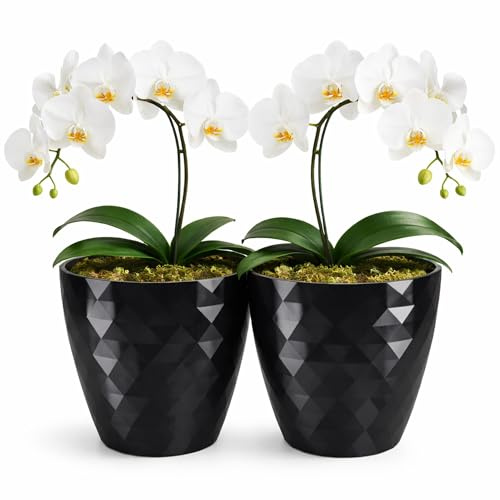 PECZEKO glänsande blomkruka, plastblomkruka, dekorativ blomkruka för stora och små blommor, set om 2 blomkrukor, blomkruka, örtkruka 2-pack) svart, o 12 cm