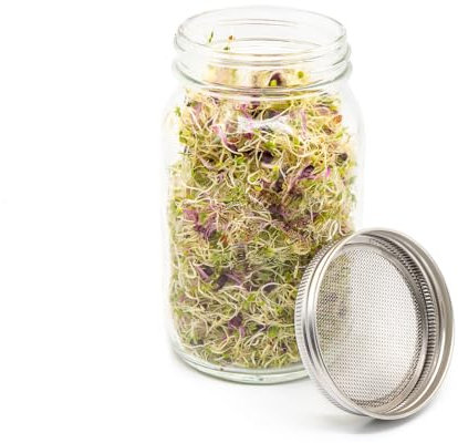 Grow Sow Greener 1L Sprouting Jar with Fine Mesh Stainless Steel Lid | Lead-Free Glass, BPA-Free, Ideal for Small Seeds