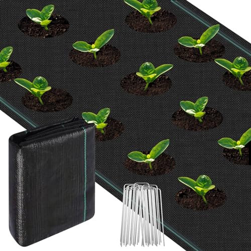 Trendecor Weed Control Membrane 2Mx3M,100gsm Heavy Duty Weed Control Fabric with 20 pack Garden Securing Pegs,Ground cover Membrane, UV stabilised Weed Barrier Fabric. Under Patios, Garden