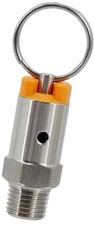 LOVIVER Soupape de décharge de pression pour fût de bière - Accessoires de brassage DIY - Facile à installer - Compacte - Acier inoxydable, 17 Psi