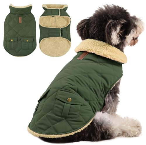 Queenmore Hundemantel Für Kleine Hunde Warme Wintermantel Hund Fleece Hundejacke Wasserdicht Quilten Hundebekleidung Winter Hundepullover Für Dackel Chihuahua Pudel Bulldogge Beagle, Grün, XS