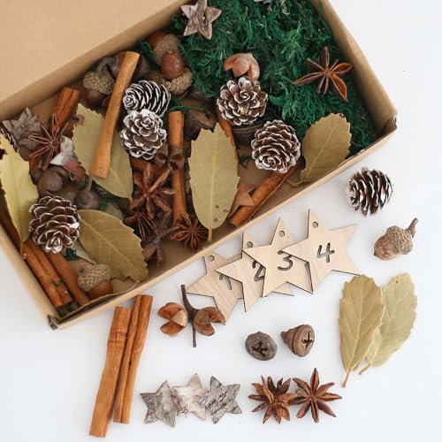 HERZONE Advent Wreath Decoration, Christmas Decoration with Cones, Orange Slices, Cinnamon Snails, Star Anise, Birch Star, Moss (Dark Green Moss)