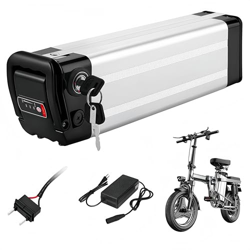 Yinyu X-go Bike Batterie 24V/36V/48V, Ebike Batteria 10Ah/13Ah/15Ah per Motore 200W 250W 300W 500W 750W 1000W Batteria Della Bicicletta Elettrica (36V 15.6Ah 2Pin)