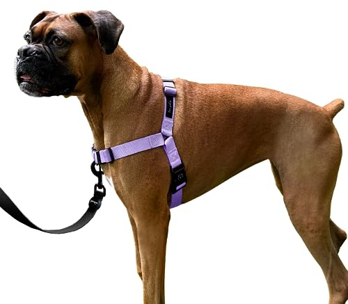 ShawnCo Dream Walk No-Pull Dog Harness- Adjustable, Comfortable, Easy to Use Pet Halter to Help Stop Pulling for Small, Medium and Large Dogs (ICY Lilac, S)