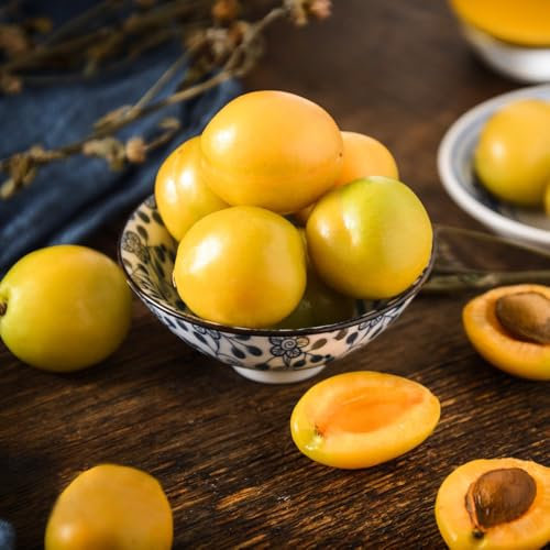 2 piezas semillas de albaricoquero, semillas de frutas, fáciles de plantar Plantas de jardín, regalos para los amantes del jardín. Cultivo de semillas, plantas para exterior. frutales