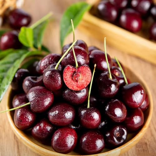 ciliegio colonnare vaso resistenti, adatte all'uso esterno, ciliegio nano Coltivare ver appartamento cespugli di bacche frutteto 100semi