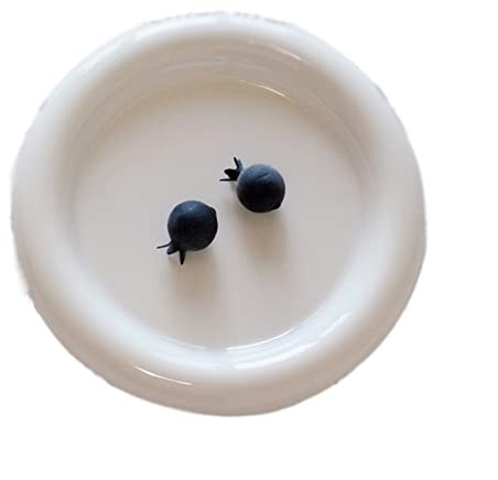 Middagstallrikar Vit Middagstallrik Frukosttallrik Tårtfat Efterrättstallrik Hushållskök Restaurang Cafétallrik Rund Härlig Liten tallrik Platt Tallrik Djup(Små)