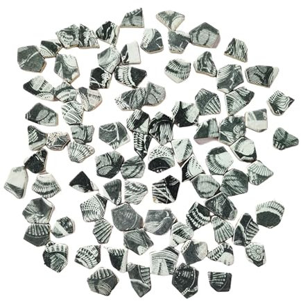 500g Porcelain Ceramic Mosaic Tiles,Broken Irregular Mosaic Tiles for DIY Craft Floor,Kitchen,Pool, Flower Pots Mosaic Making Supplies (Porcelain Black 03)