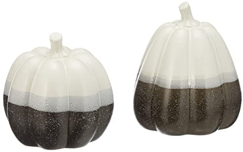 khevga Decorazione Autunno Decorazione Halloween Decorazione Zucca Nero Bianco Grigio Set di 2