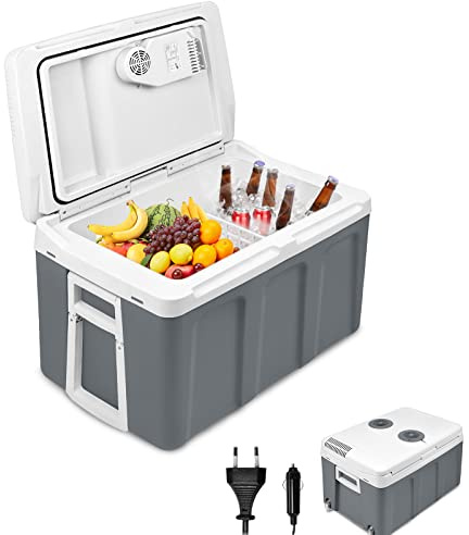 Aufun Nevera 48L con ruedas, para mantener caliente y frío, mini nevera, 12 V y 230 V para coche, camión, barco, autocaravana y enchufe, con modo ECO(Gris)