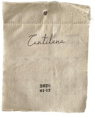 Calendrier artistique 2026 en tissu sur le thème des vacances, calendrier de planification annuelle pour cadeaux et décoration spatiale, calendrier en tissu