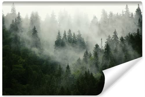 Muralo Fototapete Wald IM Nebel Wandtapeten Bäume Grün Natur Wohnzimmer Schlafzimmer Esszimmer Moderne Wandbilder XXL Landschaft Panorama Wand Dekoration (VLIES, Br. 450 cm x Hö. 300 cm)