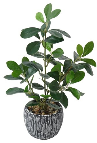 LOMOHOO Artificial Plants in Pots, Greenery Fake Plant Potted with Rustic Black Clay Planter, Faux Plants for Indoors Bathroom Bedroom Kitchen Office Table Desk Decor