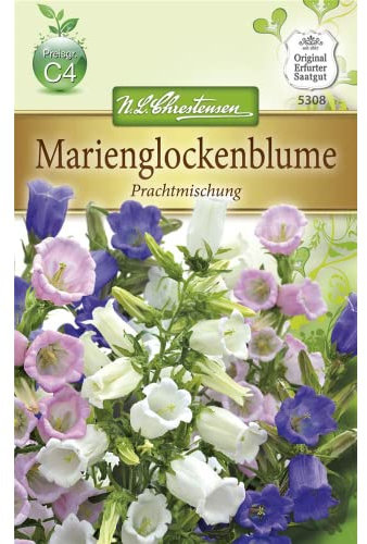 Chrestensen Marienglockenblume 'Prachtmischung'