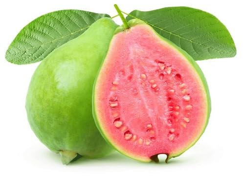 Nouveau frais 100pcs graines de fruits de goyave