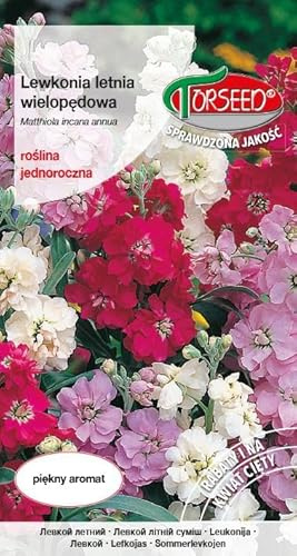 Verdica årligt lager Matthiola incana annua frön – doftande blommor, färgglada och mycket grenade, perfekt för buketter och trädgårdsbäddar, perfekt för vårplantering