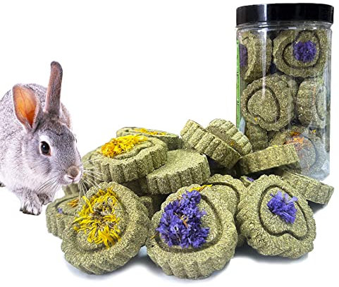 FIPASEN Kaninchen Kauspielzeug, 18 STÜCKE Natürliches Timothy Hay Kauspielzeug, Verbessern Sie die Zahngesundheit für Hasen/Chinchilla/Meerschweinchen/Hamster/Holland Lop, Häschen-Kauspielzeug