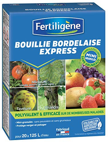 BOUILLIE BORDELAISE EXPRESS 500G BOUG5N