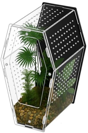 Kalttoy Clear Front Opening Terrarium High Transparency Acrylic Enclosure for Small Reptiles and Amphibians Pet Thin Dragon Enclosure
