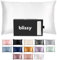 BLISSY Silk Pillowcase 100% Pure Mulberry Silk 22 Momme 6A High-Grade Fibers Satin Pillowcase Hair & Skin Regular, Queen & King Size Silk Pillow Case w/Hidden Zipper Moisture Wicking, White