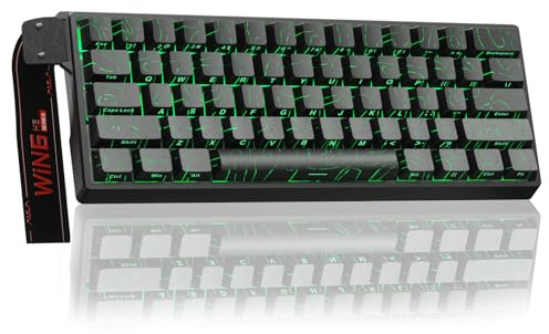 AULA WIN60 HE Mechanische Gaming Tastatur mit Kabel,Hall Effect Magnetic Switches,Rapid Trigger,Einstellbare Betätigung,8000HZ,Side-Print,60% RGB Tastatur für PC/Mac (Black)