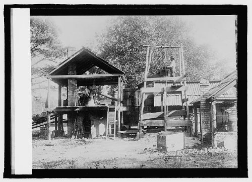 HistoricalFindings Photo: Turpentine Farm,Clinton,North Carolina,NC,National Photo Company,1909-1920