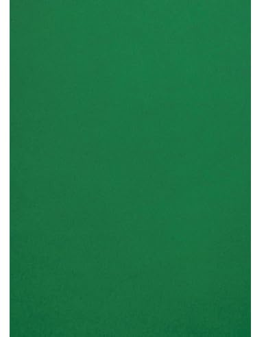 Netuno 50 x färgat lerpapper mörkgrön DIN A4 21 x 29,7 cm 120 g Malmero Amazone grönt pysselpapper färgat tryckbart färgpapper kartongpapper gröna toner hög kvalitet för broschyrer inbjudningar