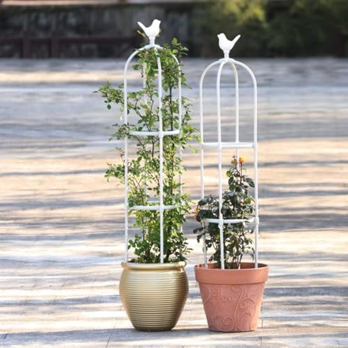 Obelisco per Piante Rampicanti, Traliccio da Giardino, Colonna di Rose Metallo+plastica, Gabbia per Pomodori 1 Pezzo, Forma di Gabbia per Uccelli Supporto per Piante in Vaso(Bianco,D 28x H 145cm)