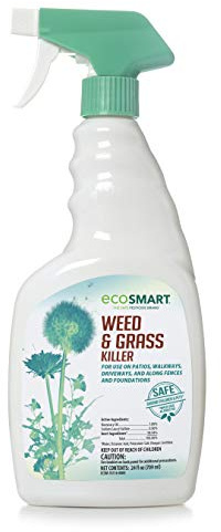 EcoSmart Natural, Glyphosate-Free Weed and Grass Killer Ready-to-Use Spray Formula for Lawns, Patios, Driveways and Pavers, 24 Ounce Bottle