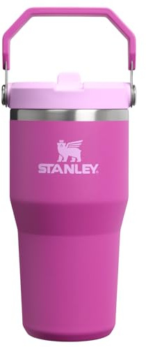 STANLEY IceFlow 2.0 Flip Straw Tumbler with Handle 20 oz | Twist On Lid and Flip Up Straw | Leakproof Water Bottle | Insulated Stainless Steel | BPA-Free | Dark Blossom