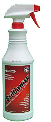Brillianize Multipurpose Plastic Cleaner 32 Ounce (944 ml) Trigger Spray Bottle