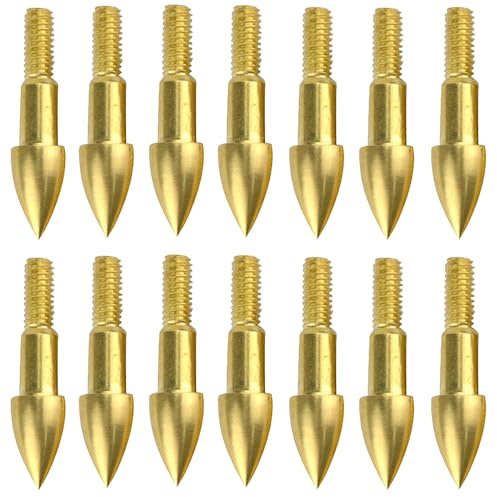 PYMUST 24pcs Pointe de flèche 75 Points de Champ vissés à Grain - Pointes de flèche de tir à l'arc pour la Pratique et Le tir à la Cible (Doré)