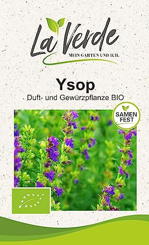 Ysop BIO Kräutersamen