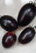 TOMATE BLACK PLUM-CIRUELA NEGRA-SEMILLAS