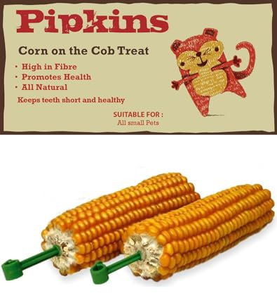 Pipkins Maiskolben-Leckerli für Kleintiere – ideales Leckerli für Hamster und Meerschweinchen, EIN nahrhafter und angenehmer Leckerbissen