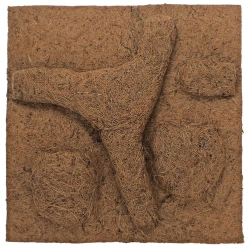 HOBBY Terraristik Kokos Modul I 50 x 50 cm I Naturprodukt aus Kokosfasern I Idealer Klettergrund I Geschützt vor schneller Verrottung