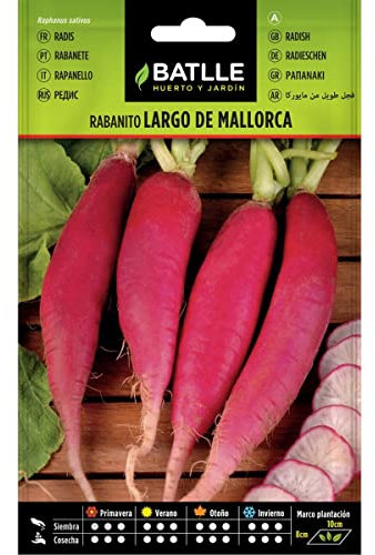 Semillas Batlle Radis Moyen, Grand de Majorque
