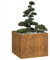 Rantry Jardinière rouillée 100 x 100 x 80 cm en acier Corten, Jardinière d'extérieur pour balcon