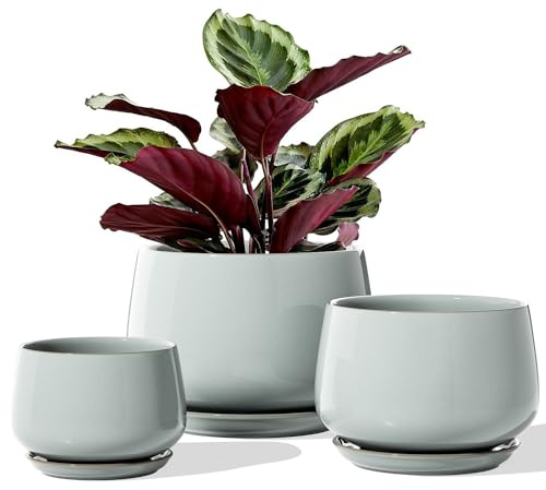 LE TAUCI Keramiska Blomkrukor för Växter, 10+12,5+16,5 cm Blomkrukor, Set med 3, Ytterkrukor med Dräneringshål och Fat, Inomhuskrukor med Dräneringsnät, Present till Mamma, Dimgrå