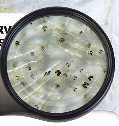 Lebendfutter Fischfutter SAHAWA 10 x 90ml Weiße Mückenlarven