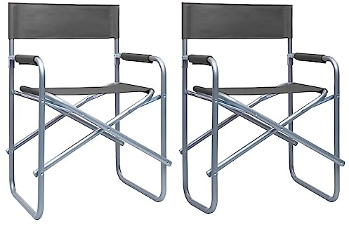 Owoxanthellate Set di 2 sedie da regista pieghevoli, moderne sedie da regista in acciaio grigio, sedie da campeggio pieghevoli con braccioli, per giardino, spiaggia e campo sportivo, 48 x 57 x 79 cm
