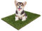 Primaflor - Ideen in Textil Premium Ersatz-Rasen Kunstrasen für Hundetoilette - 51 x 76 cm, Rasenmatte, Ersatzgras, Trainingsunterlage für Hundeklo, Welpentoilette